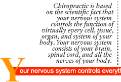 Your nervous system controls everything.