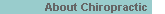 About Chiropractic